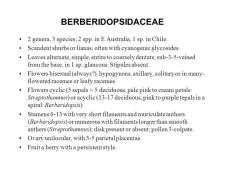 BERBERIDOPSIDACEAE 2 genera, 3 species; 2 spp. in E Australia, 1 sp. in Chile. Scandent shurbs or lianas, often with cyanogenic glycosides. Leaves alternate,