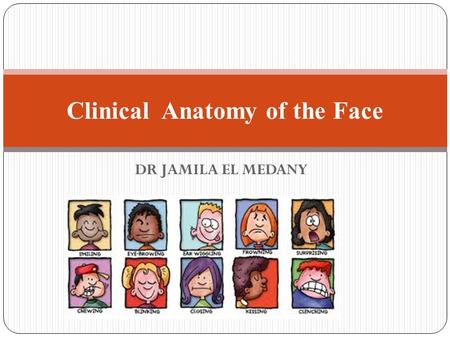 Clinical Anatomy of the Face