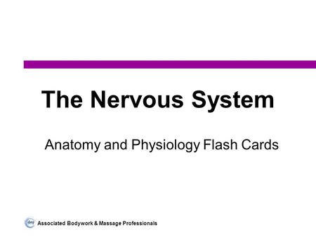 Associated Bodywork & Massage Professionals The Nervous System Anatomy and Physiology Flash Cards.