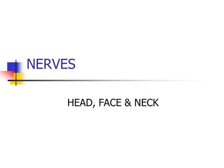 NERVES HEAD, FACE & NECK.
