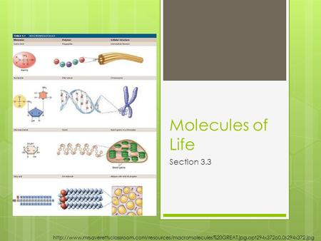 Molecules of Life Section 3.3