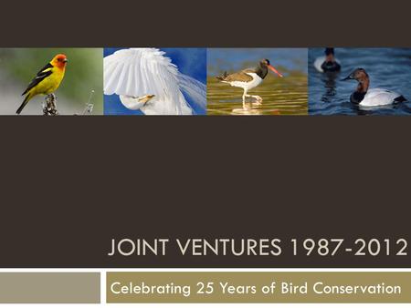 JOINT VENTURES 1987-2012 Celebrating 25 Years of Bird Conservation.