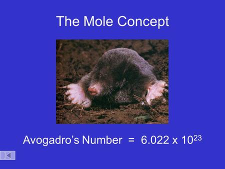 The Mole Concept Avogadro’s Number = 6.022 x 10 23.