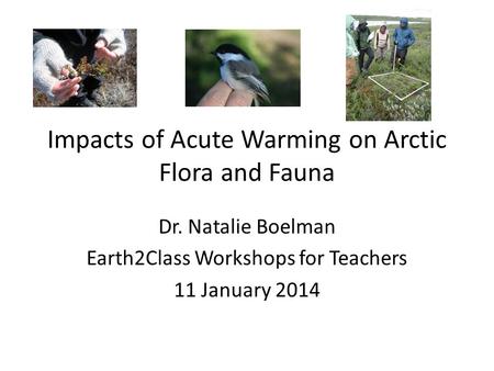 Impacts of Acute Warming on Arctic Flora and Fauna Dr. Natalie Boelman Earth2Class Workshops for Teachers 11 January 2014.
