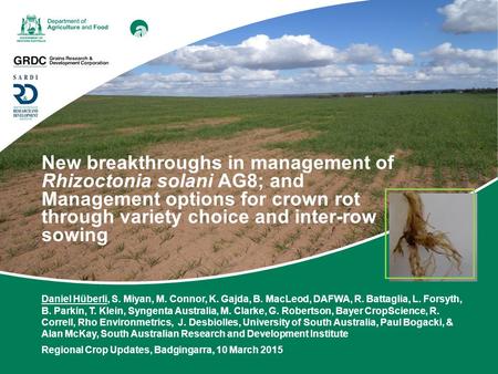 New breakthroughs in management of Rhizoctonia solani AG8; and Management options for crown rot through variety choice and inter-row sowing Daniel Hüberli,