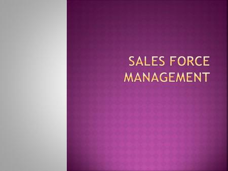  Sales personnel are the company’s link to the customers  To the customer, sales person is the company.  Salesperson gives information about the customer.