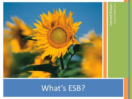 What’s ESB? Hamed Shayan www.ChrisShayan.com. What’s the story COBOL Application ERP System New Application Call Center Application CRM Application.