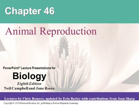 Chapter 46 Animal Reproduction.