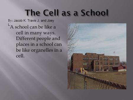 A school can be like a cell in many ways. Different people and places in a school can be like organelles in a cell. By: Jacob K. Travis J. and Joey L.