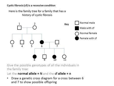 Here is the family tree for a family that has a history of cystic fibrosis Give the possible genotypes of all the individuals in the family tree: Let the.