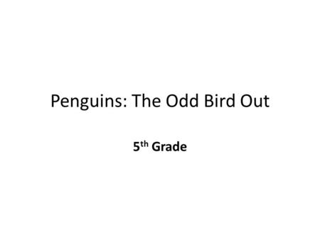 Penguins: The Odd Bird Out 5 th Grade. Penguins! Class – Aves Family –Spheniscidae – Penguins are the only animals in the Spheniscidae family Species.