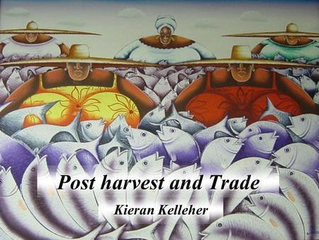 Post harvest and Trade Kieran Kelleher. Why post harvest? it turns fish into value post-harvest losses are high – up to 100% it adds value why post-harvest?