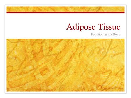 Adipose Tissue Function in the Body.