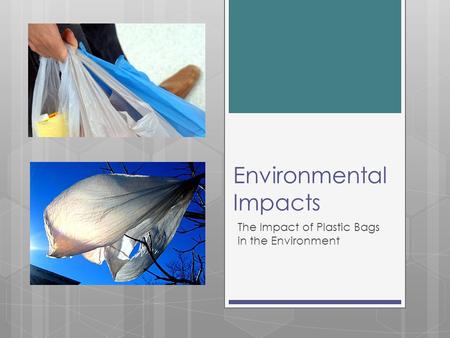 Environmental Impacts The Impact of Plastic Bags in the Environment.