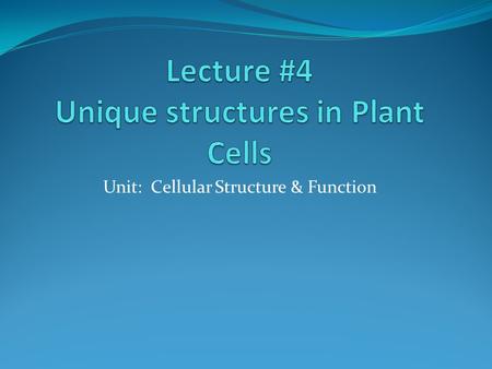 Unit: Cellular Structure & Function. How are plant and animal Cells different from each other? Although Plants and Animals are both EUKARYOTES, there.