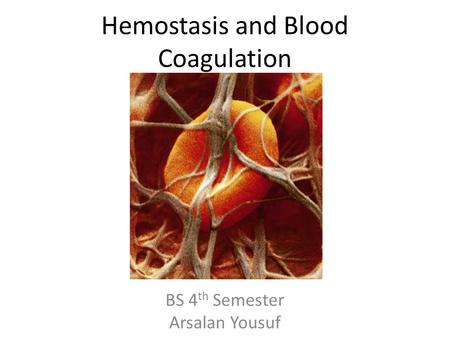 Hemostasis and Blood Coagulation BS 4 th Semester Arsalan Yousuf.