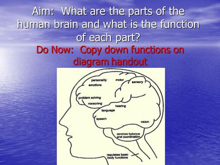 Aim: What are the parts of the human brain and what is the function of each part? Do Now: Copy down functions on diagram handout.