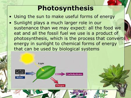 Photosynthesis Using the sun to make useful forms of energy