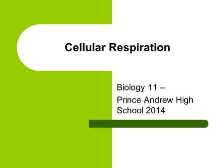 Biology 11 – Prince Andrew High School 2014 Cellular Respiration.