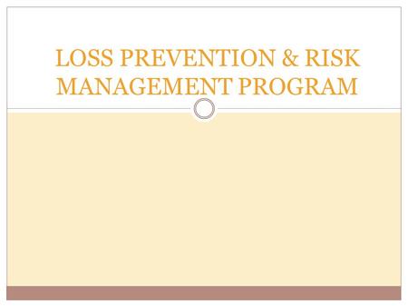 LOSS PREVENTION & RISK MANAGEMENT PROGRAM Loss Prevention Program A loss prevention program is helpful to promote the organization safe along with create.