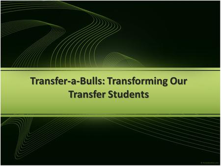 Transfer-a-Bulls: Transforming Our Transfer Students.