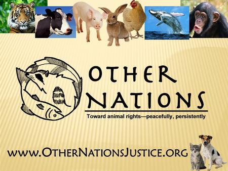 Www.O THER N ATIONS J USTICE. ORG. What is activism? Animals, consciousness, sentience Cosmetic testing Educational use Speciesism – what is it? Animal.