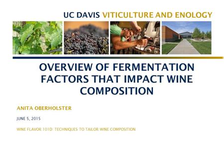 Overview of fermentation factors that impact wine composition