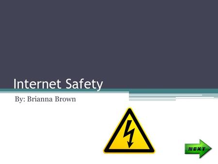 Internet Safety By: Brianna Brown. Index What Is Internet Safety? Passwords Cyber Bullying Safety Tips Quiz.