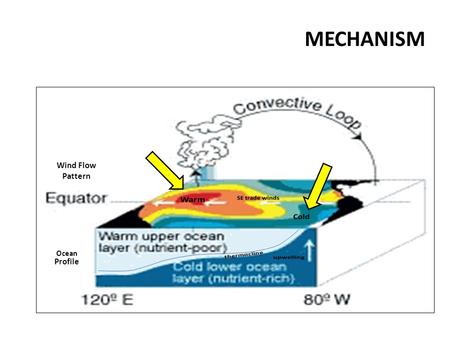 MECHANISM Normal Condition Ocean Profile Wind Flow Pattern.