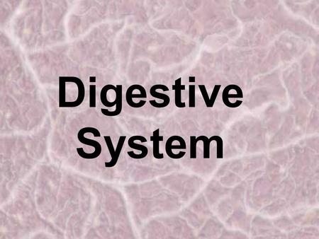 JH-KEADLE Digestive System.