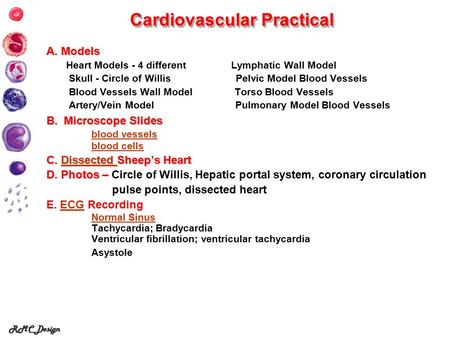Cardiovascular Practical