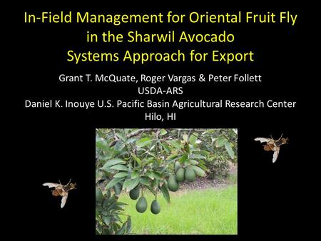 In-Field Management for Oriental Fruit Fly in the Sharwil Avocado Systems Approach for Export Grant T. McQuate, Roger Vargas & Peter Follett USDA-ARS Daniel.