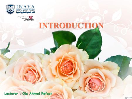 INTRODUCTION Lecturer : Ola Ahmed Refaat 1 Finding a word quickly:  Because the words in any dictionary are listed in alphabetical order, this means.
