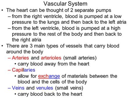 Vascular System The heart can be thought of 2 separate pumps