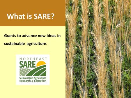 Grants to advance new ideas in sustainable agriculture. What is SARE?