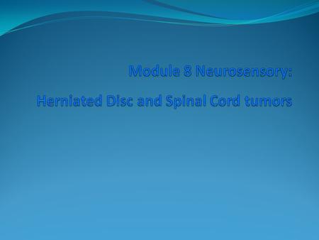 Spinal Cord Anatomy spinal cord anatomy Spinal Cord Anatomy.