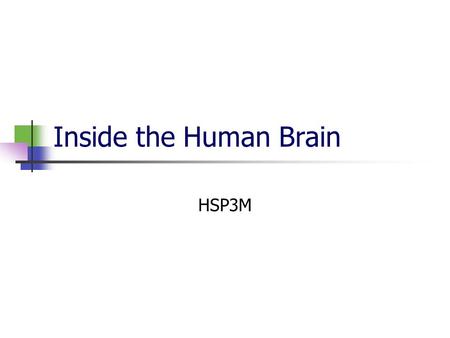 Inside the Human Brain HSP3M. Inside the Teenage Brain Adolescence is characterized by extreme mood swings and participation in risk-taking behaviour.