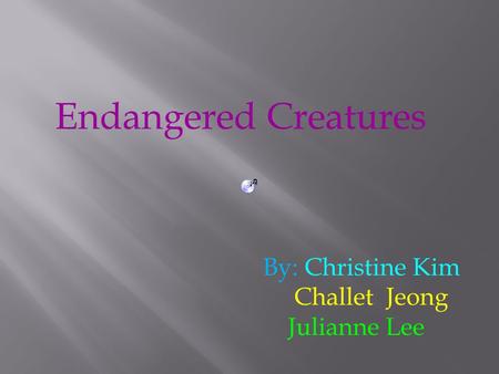 Endangered Creatures By: Christine Kim Challet Jeong Julianne Lee.