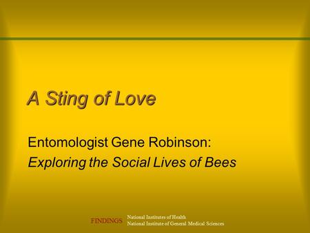 National Institutes of Health National Institute of General Medical Sciences FINDINGS A Sting of Love Entomologist Gene Robinson: Exploring the Social.