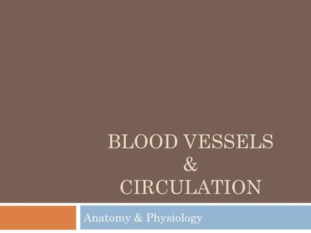 Blood vessels & circulation