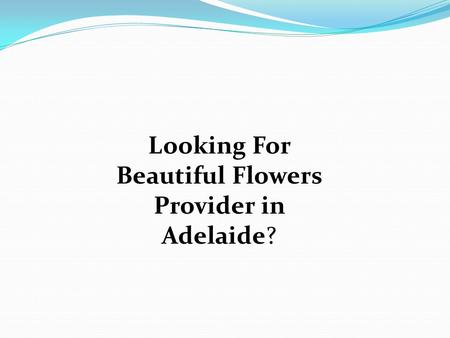 Looking For Beautiful Flowers Provider in Adelaide?