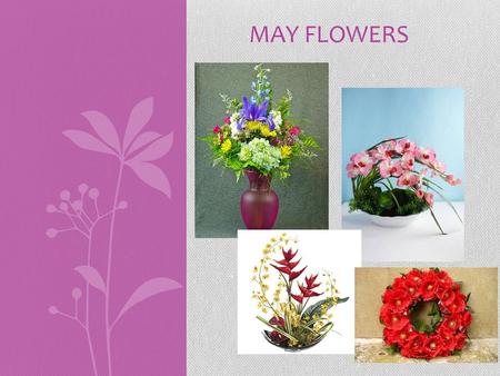MAY FLOWERS. Why Choose Silk/Dry Flowers Over Real Flowers? They last longer More affordable Always look like the first day you picked them Don’t have.
