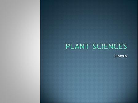 Plant Sciences Leaves.