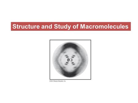 Structure and Study of Macromolecules