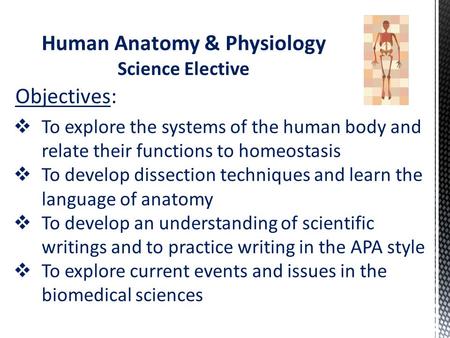 Human Anatomy & Physiology Science Elective  To explore the systems of the human body and relate their functions to homeostasis  To develop dissection.