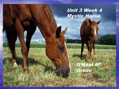 Unit 3 Week 4 Mystic Horse Unit 3 Week 4 Mystic Horse O’Neal 4th Grade.