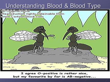 Understanding Blood & Blood Type