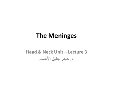 Head & Neck Unit – Lecture 3 د. حيدر جليل الأعسم