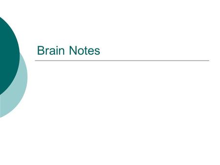 Brain Notes.