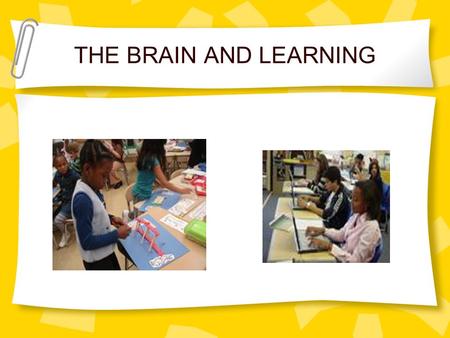 THE BRAIN AND LEARNING. OBJECTIVES With support of notes, participants will be able to: describe how learning is related to brain structure and functions.